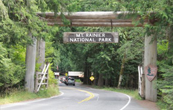 Mount Rainer National Park